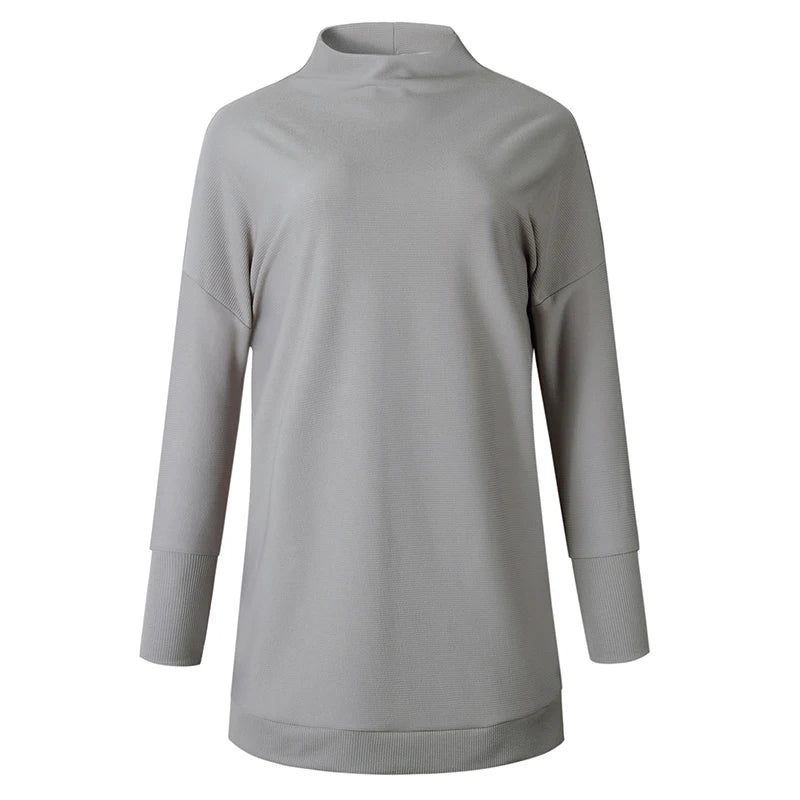 Customizable Turtleneck Loose Winter Dress Women Autumn Long Sleeve Solid Casual Sexy Mini Dress Female T Shirt Dress