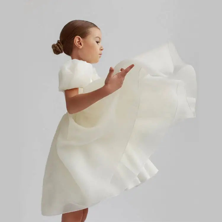 Princess Dress for Girls Puff Sleeve Gala Party Gown Elegant Kids Birthday Outfits Flower Children Wedding Formal V-Back Dresses
