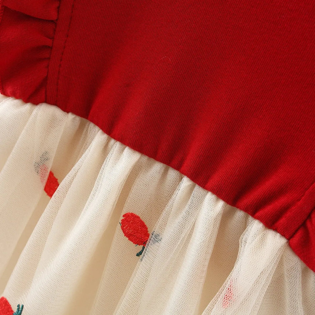 Girl's autumn and winter dress with lace and lace British style baby dress girl's birthday princess dress