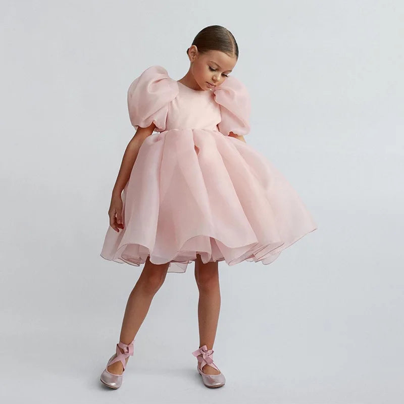 Princess Dress for Girls Puff Sleeve Gala Party Gown Elegant Kids Birthday Outfits Flower Children Wedding Formal V-Back Dresses