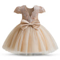 Toddler Girls 1st Birthday Party Dresses Cute Bow Kids Princess Lace Tulle Short Dress Flower Girls Dresses for Wedding 1-5 Year